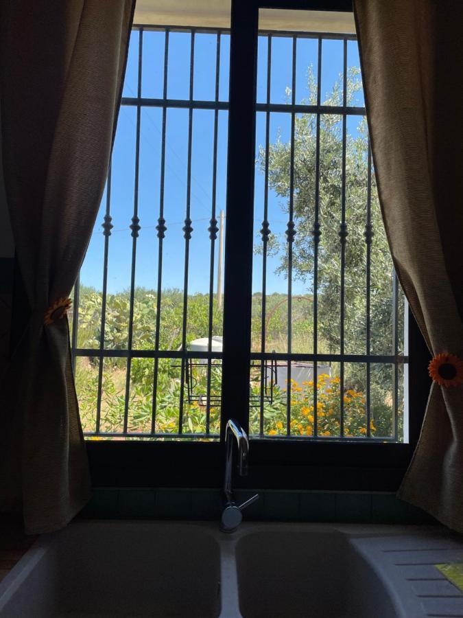 La Casetta Degli Ulivi Con Piscina メンフィ エクステリア 写真